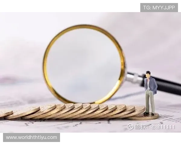 华体会旗舰平台多样化支付方式介绍,满足不同地区玩家的支付需求